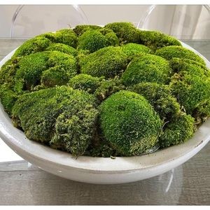 Meet your Posher, Martin